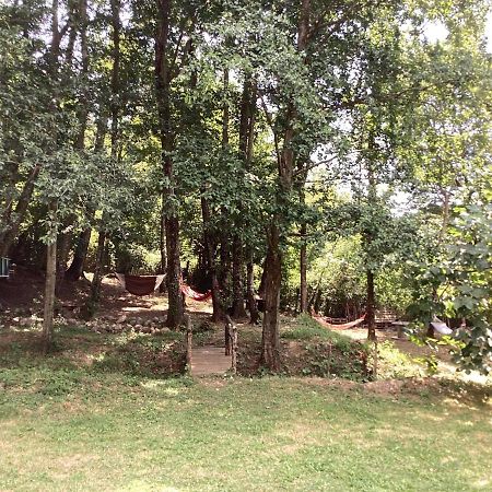 Piccola Ospitalita Bed and Breakfast Campagna Εξωτερικό φωτογραφία