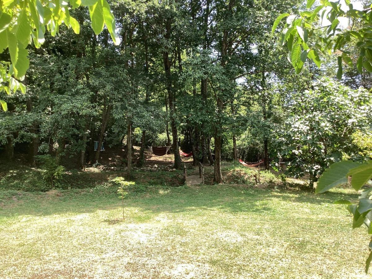 Piccola Ospitalita Bed and Breakfast Campagna Εξωτερικό φωτογραφία